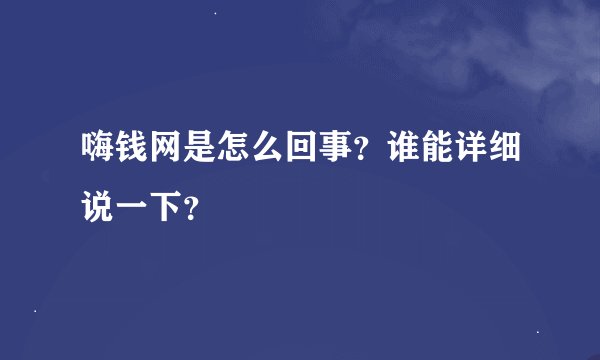 嗨钱网是怎么回事？谁能详细说一下？