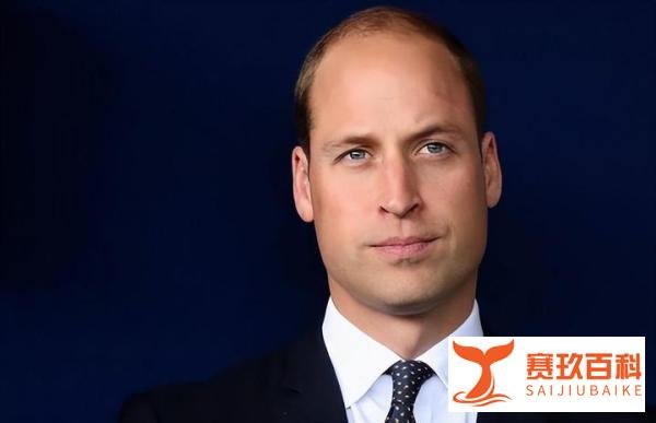 英国王位继承顺位揭秘，传长不传幼？