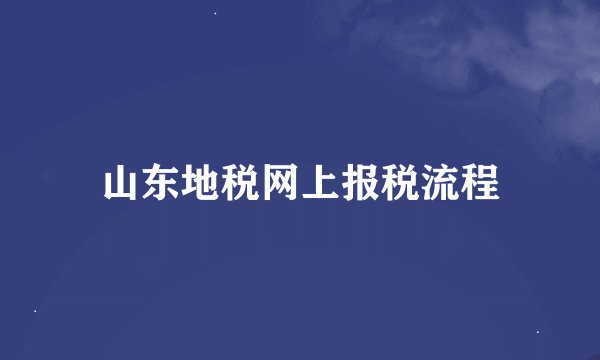 山东地税网上报税流程
