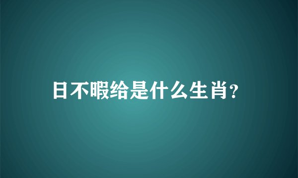 日不暇给是什么生肖？