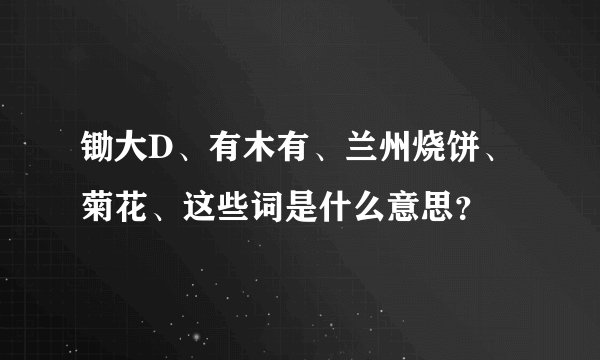 锄大D、有木有、兰州烧饼、菊花、这些词是什么意思？