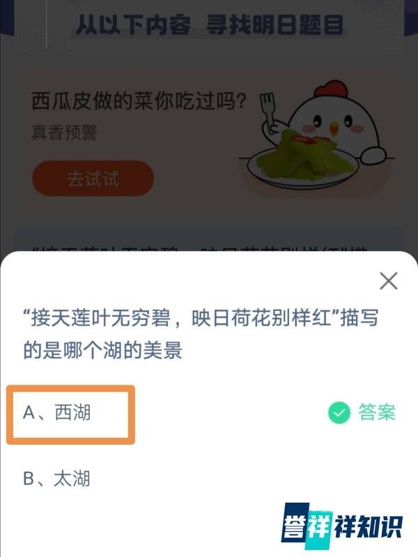 蚂蚁庄园接天莲叶无穷碧描写的是哪个湖的美景