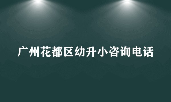广州花都区幼升小咨询电话