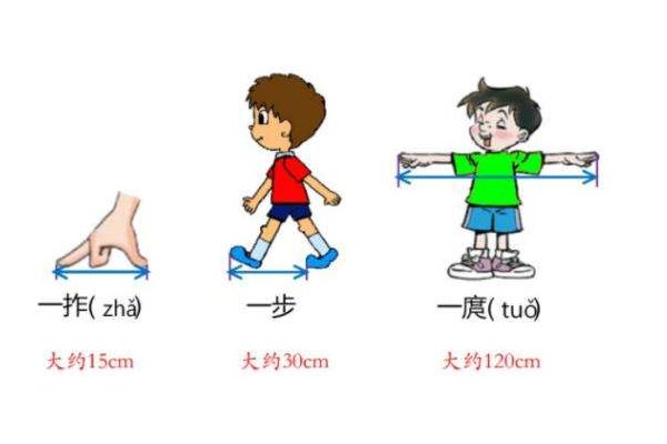庹读作什么？