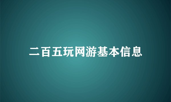 二百五玩网游基本信息
