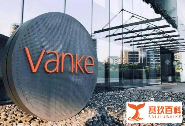 收购荣耀、入局恒大、挽救苏宁，深圳国资委再次拿100亿拯救万科