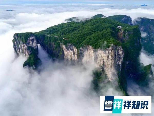 天门山一19岁游客坠亡？文旅局回应：有专班处理该事件！