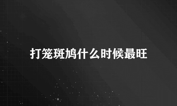 打笼斑鸠什么时候最旺