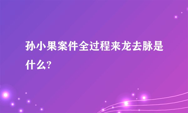 孙小果案件全过程来龙去脉是什么?