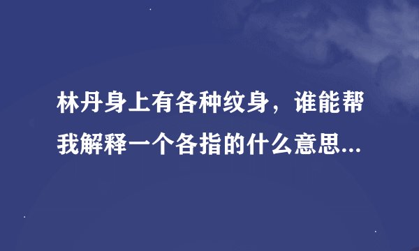 林丹身上有各种纹身，谁能帮我解释一个各指的什么意思？谢谢！