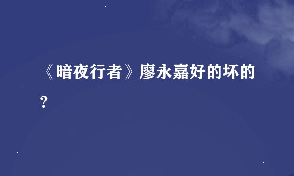 《暗夜行者》廖永嘉好的坏的？