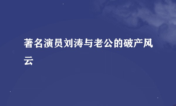 著名演员刘涛与老公的破产风云