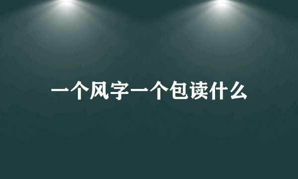 一个风字一个包读什么