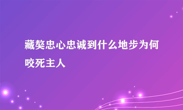 藏獒忠心忠诚到什么地步为何咬死主人