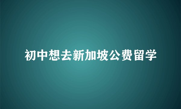 初中想去新加坡公费留学