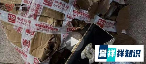 百万奢侈品在快递点浸水损毁 仅清洗费就2万多 申通:未保价