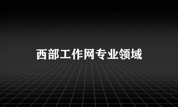 西部工作网专业领域