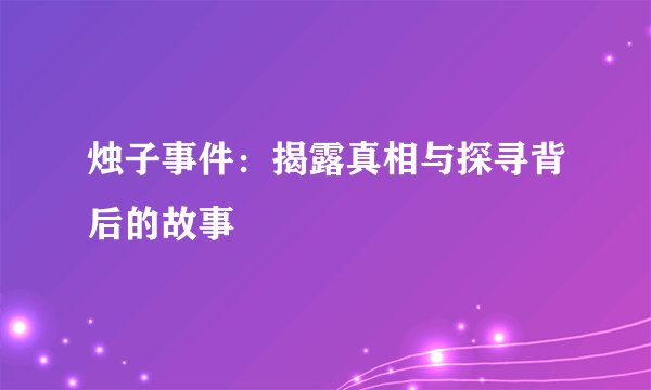 烛子事件：揭露真相与探寻背后的故事