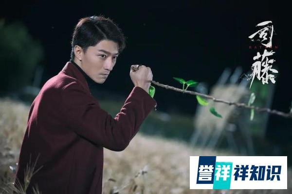 《司藤》：丘山为何如此痛恨苅族？其实他也是可怜之人