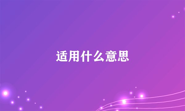 适用什么意思