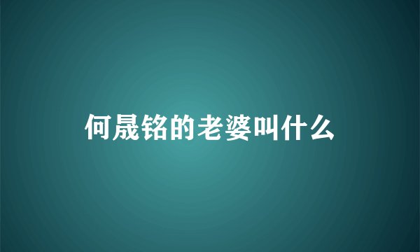 何晟铭的老婆叫什么