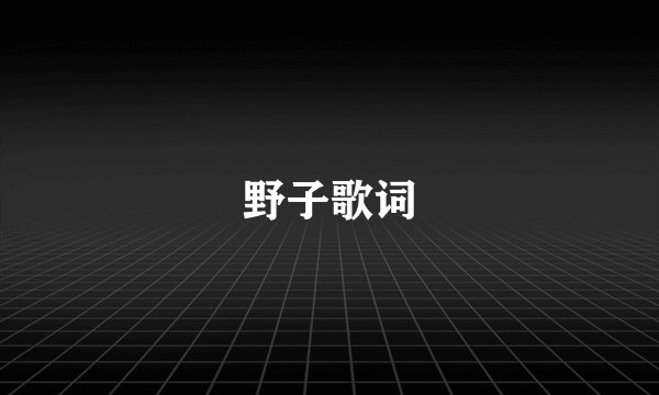 野子歌词