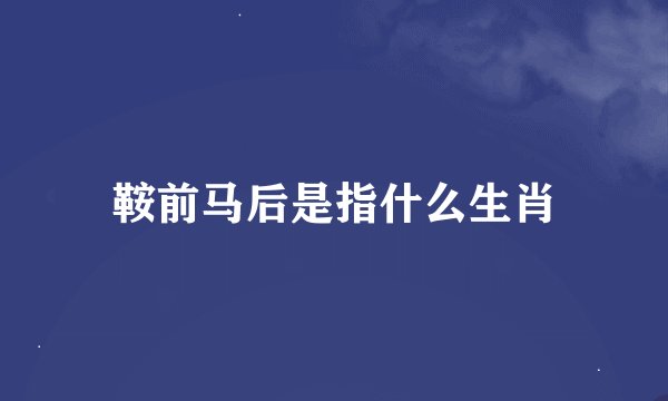 鞍前马后是指什么生肖