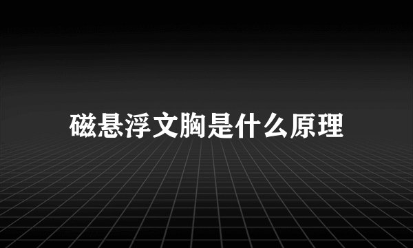 磁悬浮文胸是什么原理