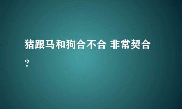猪跟马和狗合不合 非常契合?
