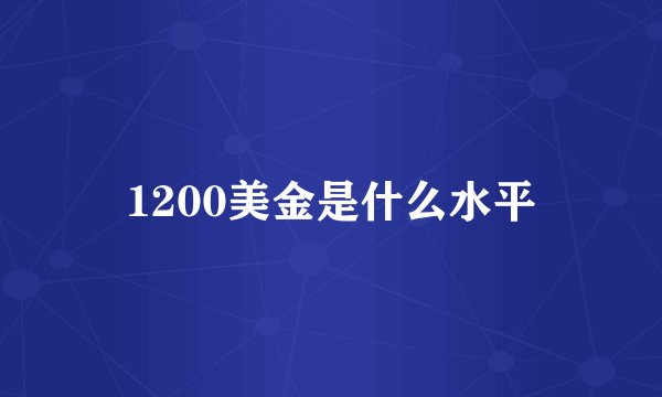 1200美金是什么水平