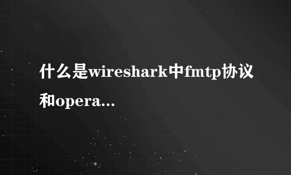 什么是wireshark中fmtp协议和operationalmessage?