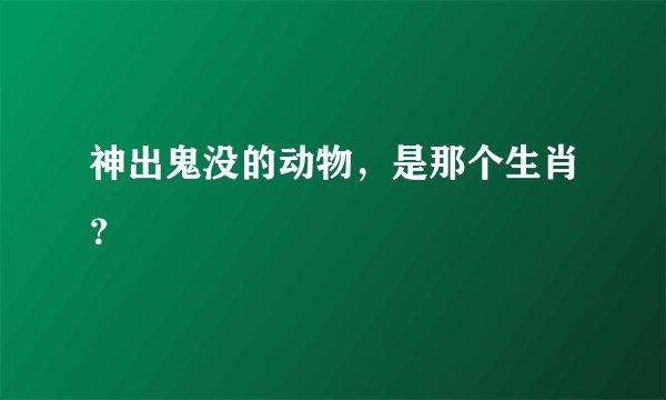 神出鬼没的动物，是那个生肖？