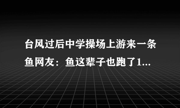 台风过后中学操场上游来一条鱼网友：鱼这辈子也跑了1000米