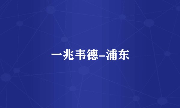 一兆韦德-浦东