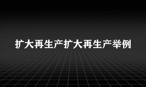 扩大再生产扩大再生产举例