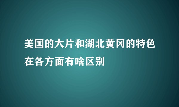 美国的大片和湖北黄冈的特色在各方面有啥区别