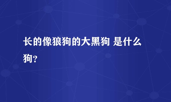 长的像狼狗的大黑狗 是什么狗？