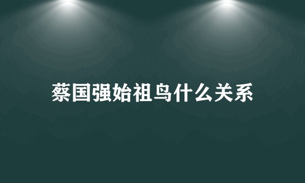 蔡国强始祖鸟什么关系