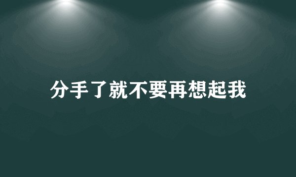 分手了就不要再想起我