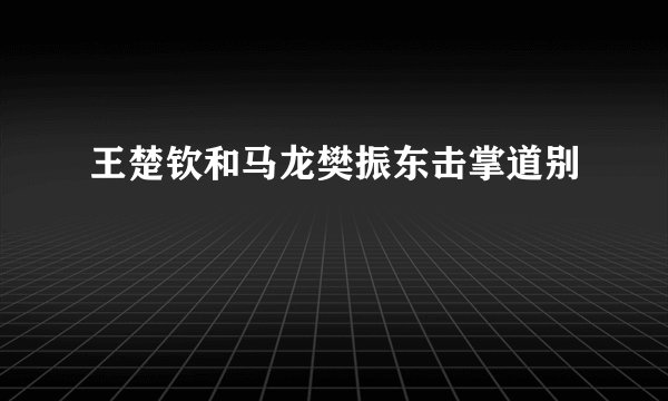 王楚钦和马龙樊振东击掌道别