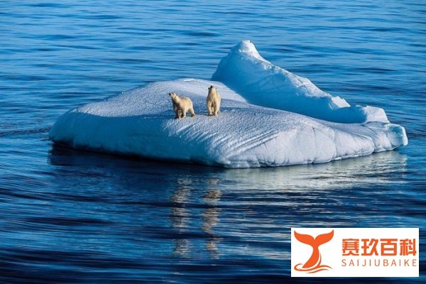 海平面上升酿成悲剧:阿根廷别墅被大海淹没,霍金预言或将成真?