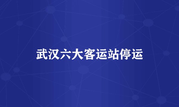 武汉六大客运站停运