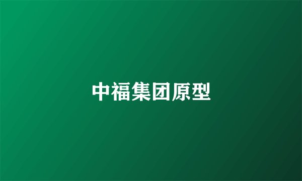 中福集团原型