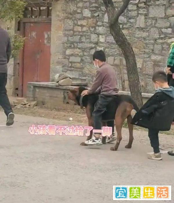 河南一男孩厉害了!坐在狗狗身上排队做核酸