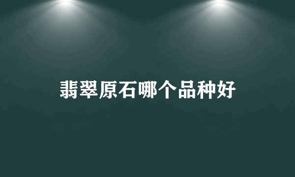 翡翠原石哪个品种好