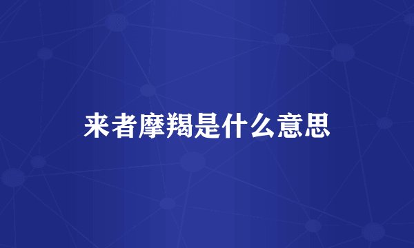 来者摩羯是什么意思