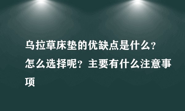 乌拉草床垫的优缺点是什么？怎么选择呢？主要有什么注意事项