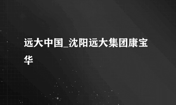 远大中国_沈阳远大集团康宝华