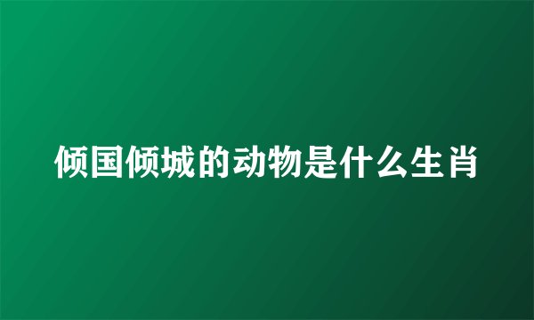 倾国倾城的动物是什么生肖