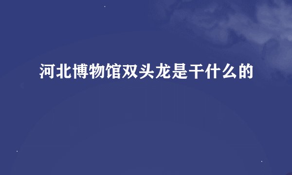河北博物馆双头龙是干什么的